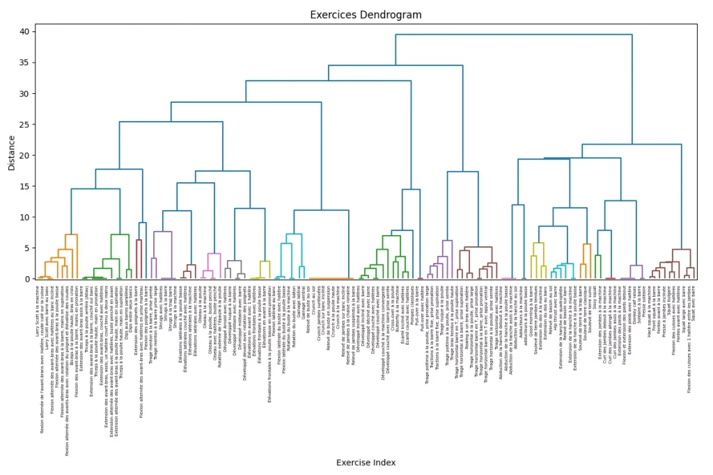 Dendrogramme du clustering des exercices de musculation