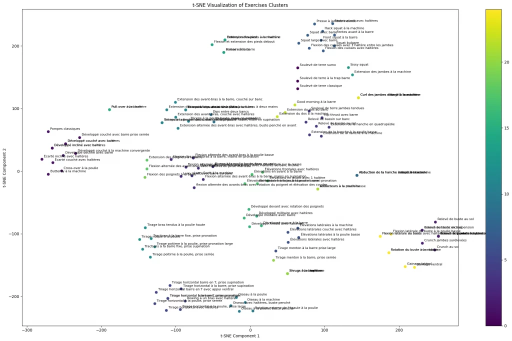 Visualisation t-SNE des clusters d'exercices de musculation